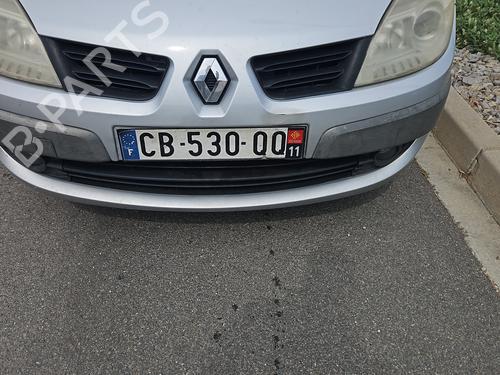 Right front door RENAULT SCÉNIC II (JM0/1_) 1.5 dCi (JM1E, JM16) | BP28471238C3 
