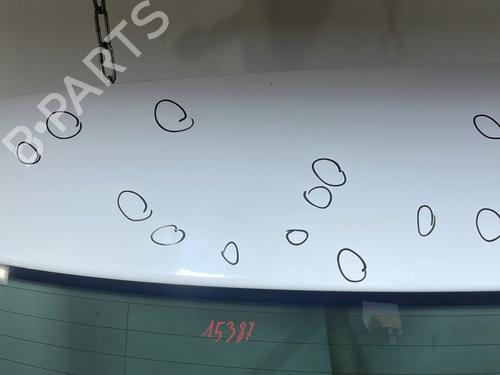 Tailgate VW POLO V (6R1, 6C1) 1.2 | BP26617929C6 