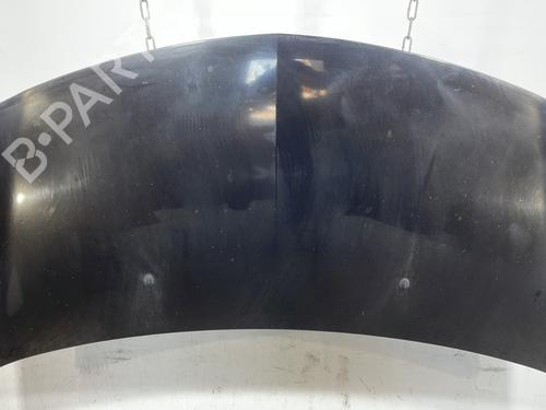 Used Hood RENAULT CLIO III (BR0/1, CR0/1) 1.5 dCi (BR17, CR17) (86 hp) 29273069