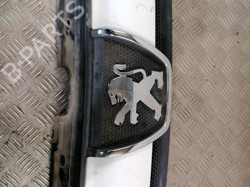 Grille PEUGEOT BOXER Van (244) 2.8 HDi | BP25668529C40