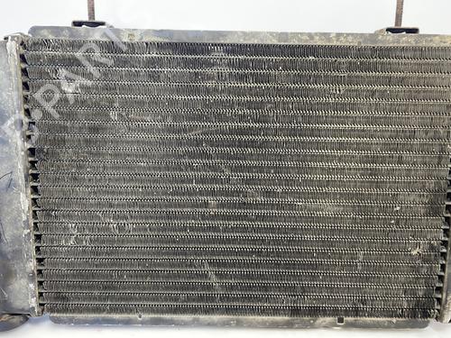 Used Water radiator Water radiator RENAULT 4 Box Body/MPV (R21_, R23_) [1966-1993] 33273694 33273694