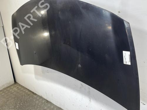Hood RENAULT CLIO III (BR0/1, CR0/1) 1.5 dCi (BR17, CR17) | BP29273069C1 