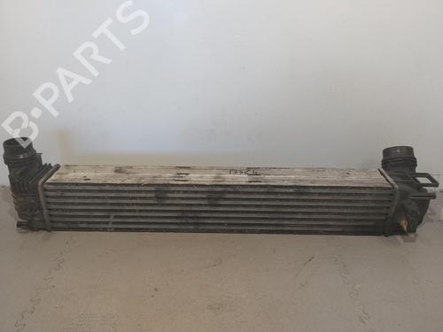 Used Intercooler Intercooler RENAULT SCÉNIC III (JZ0/1_) 1.9 dCi (JZ0J, JZ1J, JZ1K, JZ1S) (131 hp) 39953479 39953479