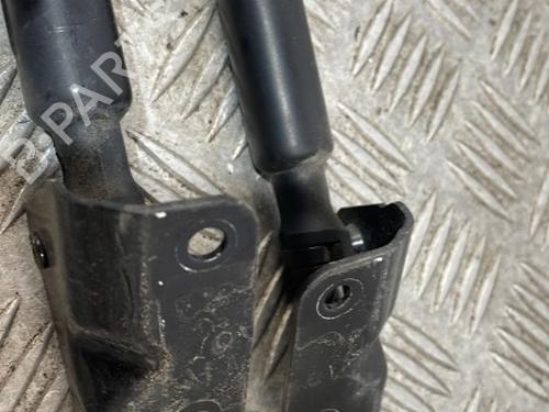 Tailgate lift support PEUGEOT 208 I (CA_, CC_) 1.6 HDi / BlueHDi 75 | BP25667114C138