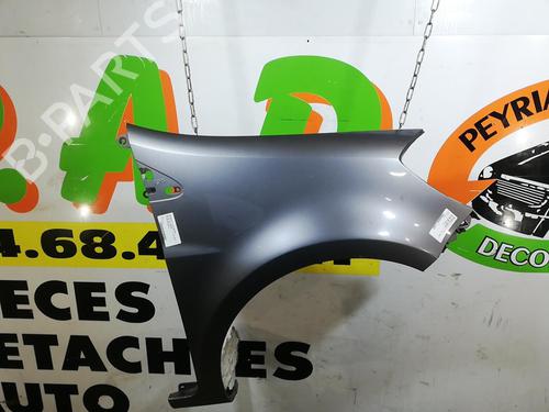 Right front fenders RENAULT CLIO III (BR0/1, CR0/1) 1.5 dCi (BR17, CR17) | BP25667564C42 