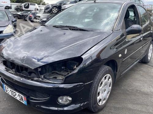 Left front door PEUGEOT 206 Hatchback (2A/C) 1.4 i | BP29243271C2 