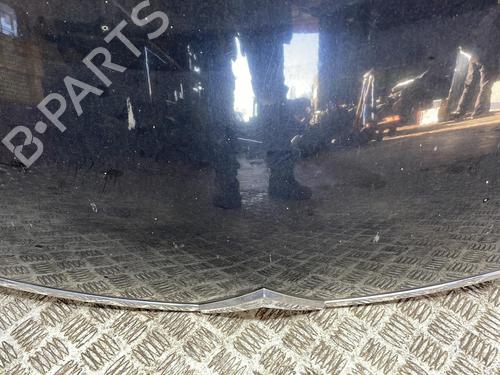 Hood CITROËN C4 Grand Picasso I (UA_) 1.6 HDi | BP25663049C1