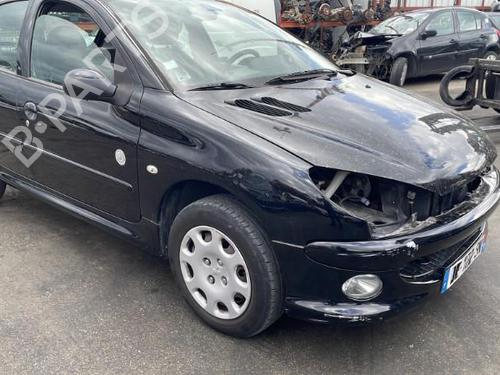 Left front door PEUGEOT 206 Hatchback (2A/C) 1.4 i | BP29243271C2 