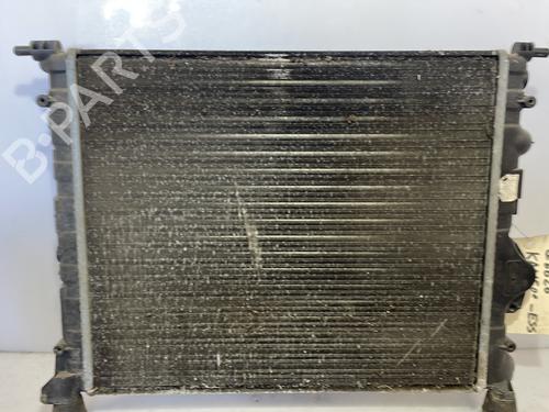 Used Water radiator Water radiator RENAULT KANGOO (KC0/1_) 1.4 (KC0C, KC0H, KC0B, KC0M) (75 hp) 29081047 29081047