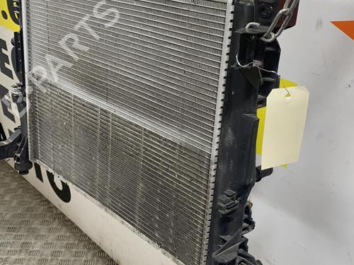Used Water radiator RENAULT ZOE (BFM_) ZOE (88 hp) 25665367