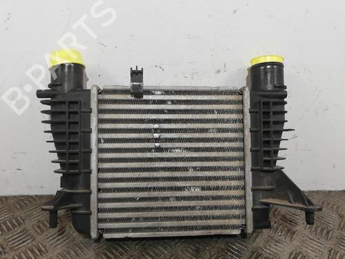 Intercooler RENAULT MODUS / GRAND MODUS (F/JP0_) 1.5 dCi (FP0D, JP0D) | BP25670005M30 