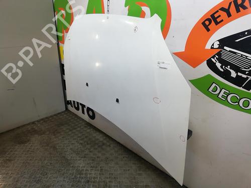 Hood FIAT DOBLO Box Body/MPV (223_) 1.3 D Multijet | BP25670713C1 