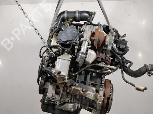 Engine FIAT PANDA (312_, 319_) 1.3 D Multijet 4x4 (312PXU1A) | BP33950988M1  - Image 5