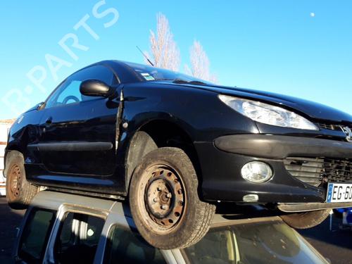 Electronic module PEUGEOT 206 CC (2D) 2.0 S16 | BP25667828M83 