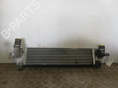 Used Intercooler Intercooler 25669799 25669799