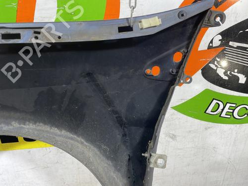 Right front fenders RENAULT CLIO III (BR0/1, CR0/1) 1.5 dCi (BR17, CR17) | BP25662148C42 