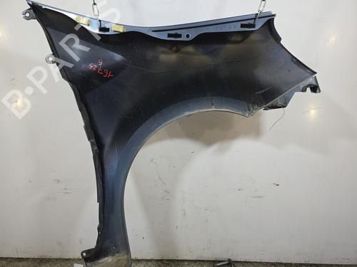 Left front fenders RENAULT MODUS / GRAND MODUS (F/JP0_) 1.5 dCi (FP0D, JP0D) | BP30732876C41