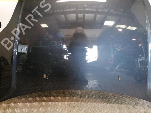 Capot Capot FORD FIESTA V (JH_, JD_) [2001-2014] 25665997 25665997