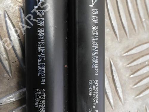 Tailgate lift support PEUGEOT 208 I (CA_, CC_) 1.4 HDi | BP25665640C138