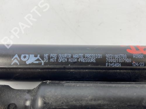 tailgate-lift-support-citroen-c4-iii-ba_-bb_-bc_-2020-25666748 main image