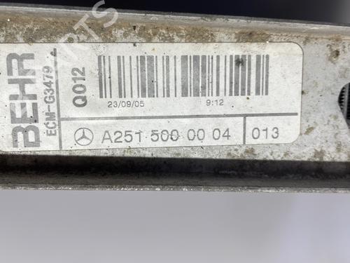 Used Water radiator Water radiator MERCEDES-BENZ R-CLASS (W251, V251) R 320 CDI 4-matic (251.022, 251.122) (224 hp) 25669014 25669014