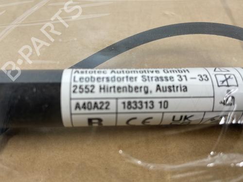 Electronic module BMW 2 Active Tourer (F45) 218 d | BP29571593M83 