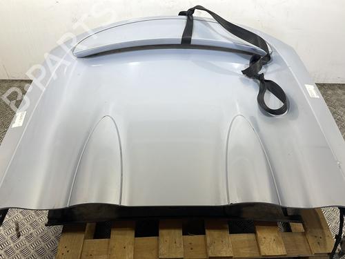 Used Tailgate RENAULT WIND (E4M_) 1.6 (E4MB, E4MC) (133 hp) 28681538