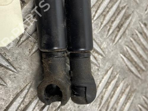 tailgate-lift-support-nissan-pathfinder-iii-r51-2005-25667159 main image