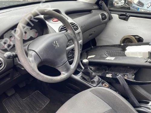 Left front door PEUGEOT 206 Hatchback (2A/C) 1.4 i | BP29243271C2 
