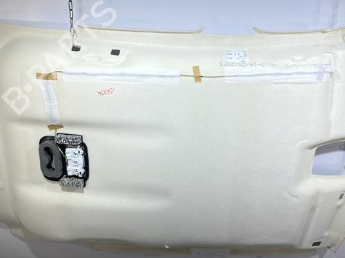 Used Interior roof Interior roof CITROËN C4 III (BA_, BB_, BC_) 1.5 BlueHDi 130 (BBYHZB) (131 hp) 25666804 25666804