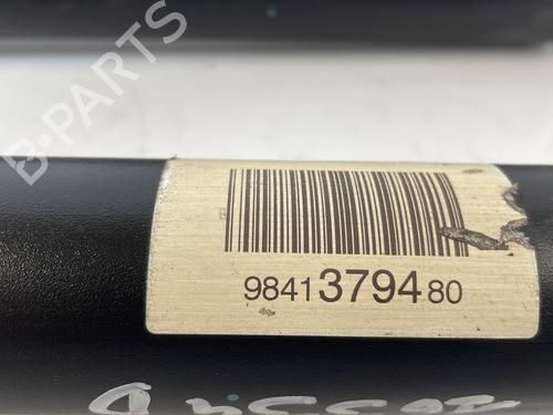 Right rear shock absorber CITROËN C4 III (BA_, BB_, BC_) 1.5 BlueHDi 130 (BBYHZB) | BP25666768M19 
