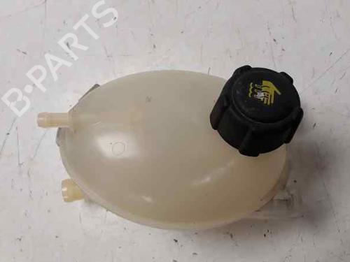 Used Expansion tank DACIA SANDERO II TCe 90 (B8M1, B8MA, B8AC) (90 hp) 8796421