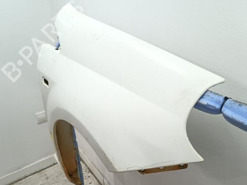 Right front fenders FIAT GRANDE PUNTO (199_) 1.3 D Multijet | BP25295809C42 