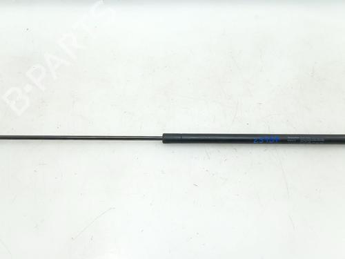 Hood lift support VOLVO S40 II (544) 1.6 D | BP30149858C139