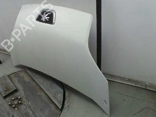 Hood PEUGEOT BIPPER (AA_)  | BP5625868C1 
