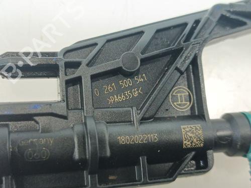 Injector BMW X2 (F39) xDrive 25 d | BP30871091M100