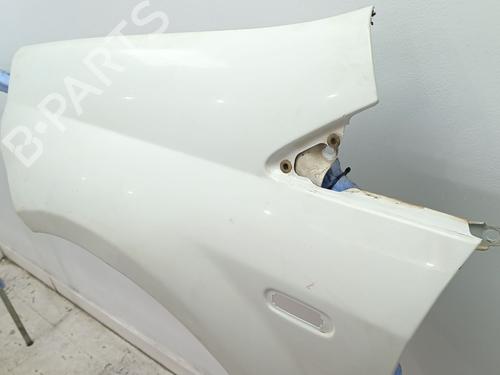 Left front fenders FIAT GRANDE PUNTO (199_) 1.3 D Multijet | BP25295810C41 