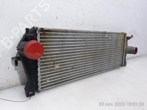 Intercooler LAND ROVER DISCOVERY II (L318) 2.5 Td5 4x4 | BP16079944M30 