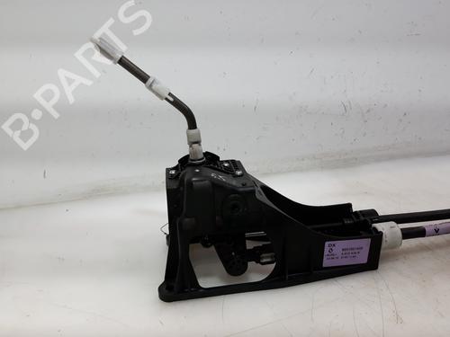 Gear lever RENAULT SCÉNIC III (JZ0/1_)  | BP15232189M90 