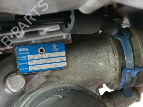 Engine SEAT IBIZA III (6L1) 1.9 TDI | BP31340916M1 
