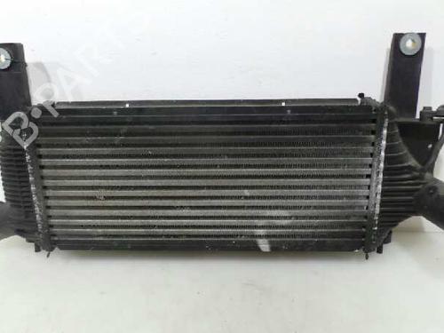 Intercooler NISSAN PATHFINDER III (R51) 2.5 dCi | BP4644382M30 
