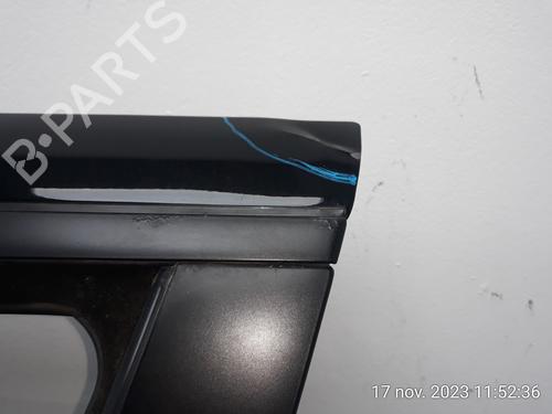 Left front door BMW X5 (E53)  | BP10041083C2 