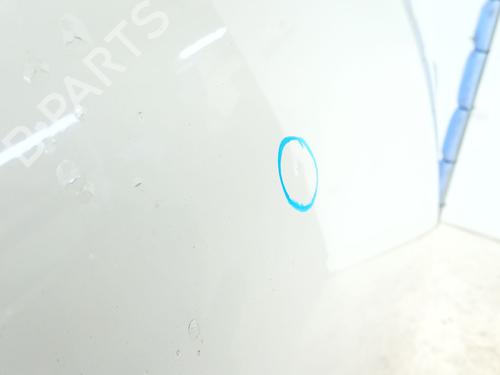 Hood ALFA ROMEO MITO (955_) 1.3 MultiJet (955AXH1B, 955AXT1A) | BP24936800C1 