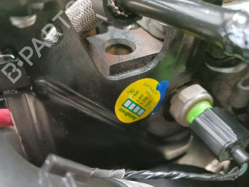 Engine FORD FOCUS II (DA_, HCP, DP) 1.8 TDCi | BP31049412M1 