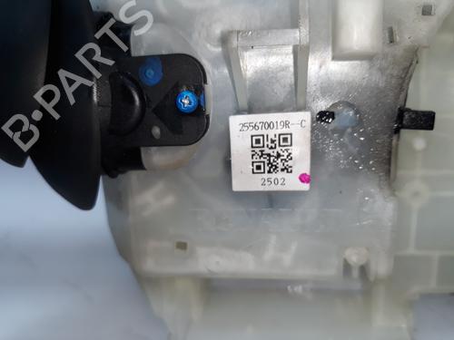 Switch RENAULT SCÉNIC III (JZ0/1_)  | BP10169703I30 