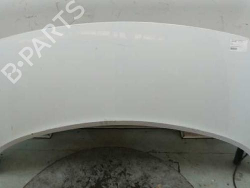 Used Hood RENAULT SCÉNIC II (JM0/1_) [2003-2010]  2797186