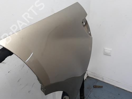Left front fenders MERCEDES-BENZ A-CLASS (W169) A 180 CDI (169.007, 169.307) | BP16587873C41 