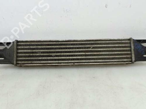 Intercooler FIAT GRANDE PUNTO (199_) 1.3 D Multijet | BP1975516M30 
