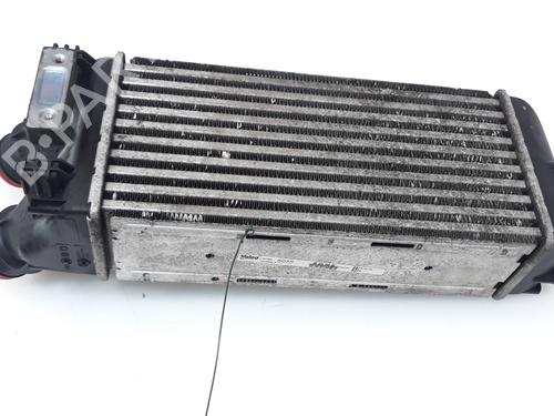 Used Intercooler PEUGEOT PARTNER Box Body/MPV 1.6 HDi 16V 4x4 (90 hp) 18099334
