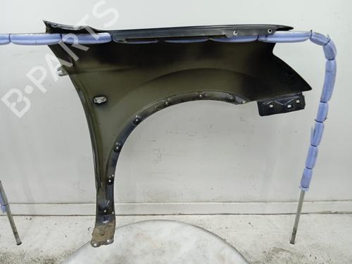 Left front fenders NISSAN QASHQAI I (J10, NJ10) 2.0 All-wheel Drive | BP20150143C41 